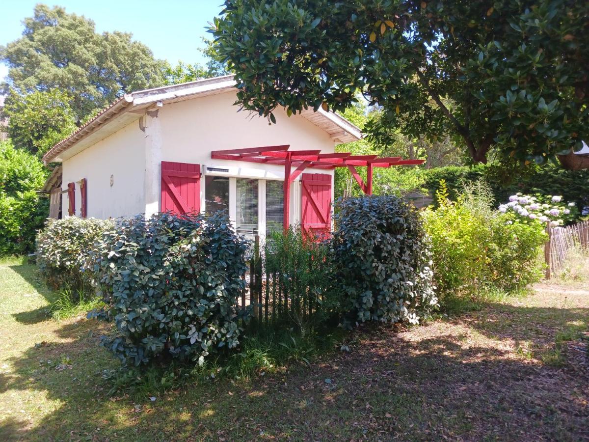 Maisonnette Proche De La Plage Tarnos Exteriér fotografie